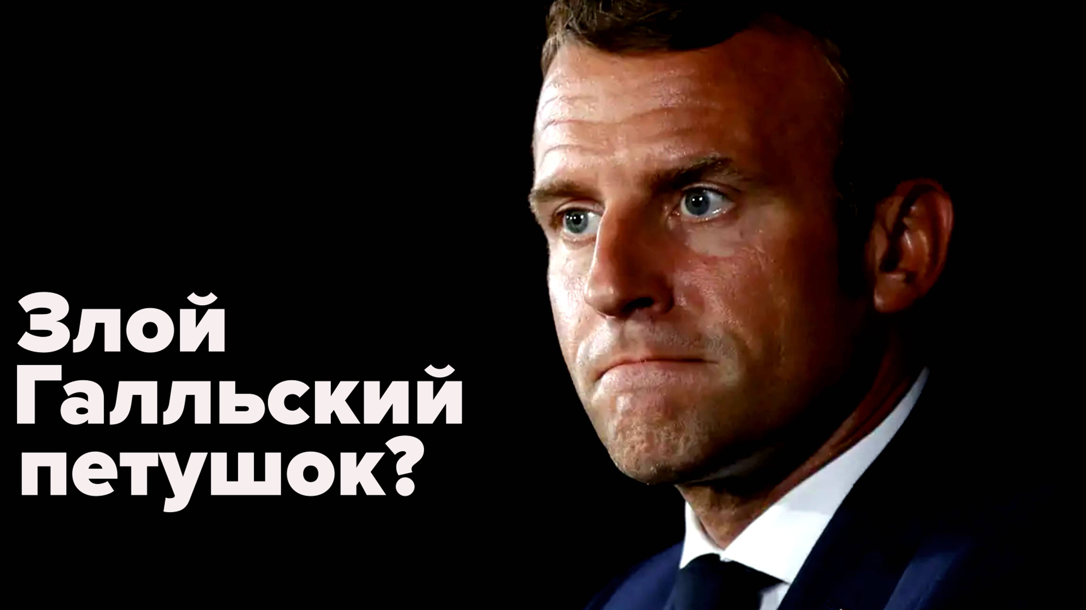 Макрон: "Пусть выкручиваются как хотят" и отпускает правительство и народ Франции в сад смотреть онлайн