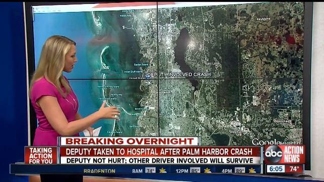 FHP: Autistic girl, 4, hit by SUV after climbing out window смотреть онлайн