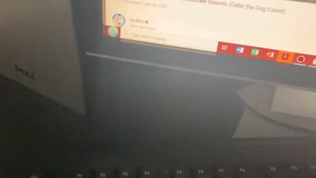 Windows 98 Startup Gabe Dog Cover BSOD смотреть онлайн