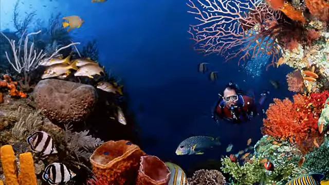 Windows 98 Plus! Underwater Sounds смотреть онлайн