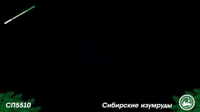 СП5510 смотреть онлайн