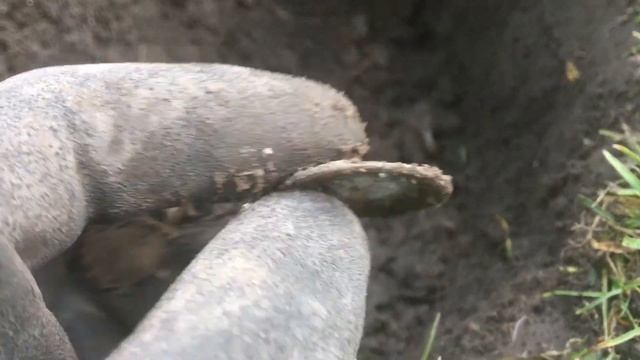 Nokta Makro Simplex/Sp24/Silver/Metal Detecting uk смотреть онлайн