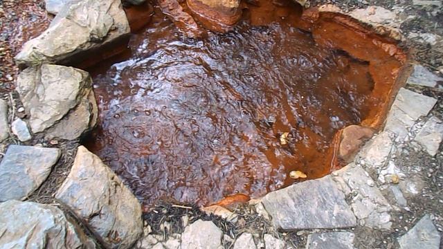 DSCN7074ДОЛИНА НАРЗАНОВ 2023