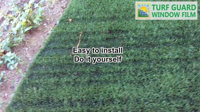 Artificial Grass DESTROYED by Window Reflection - Protect Your Turf from Sun Damage смотреть онлайн