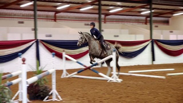 Lot 34 Callaho Abu Dhabi (Abdullah x Silvio I x Ramiro Z) смотреть онлайн