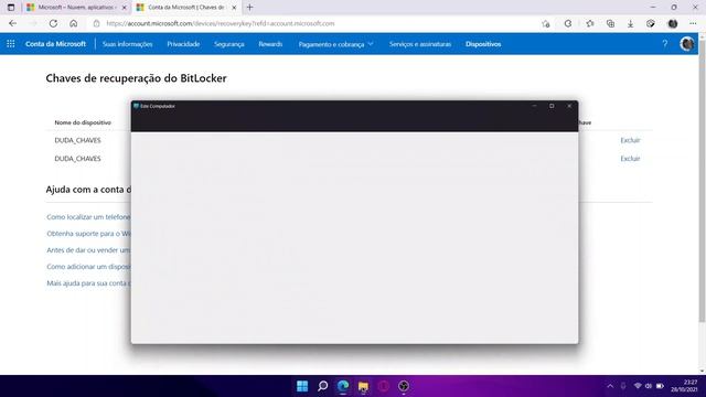 Como Descobrir a Senha do Bitlocker no Windows (Arquivo, Pasta ou Unidade Bloqueada Pelo Sistema) смотреть онлайн