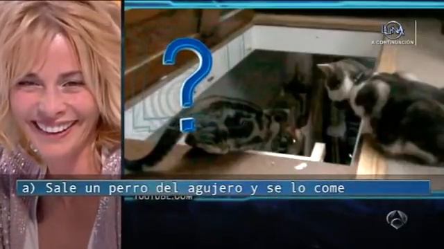 Belén Rueda en el Hormiguero 3.0 Parte 2/3 смотреть онлайн