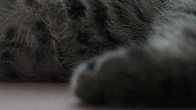 The Letter M смотреть онлайн
