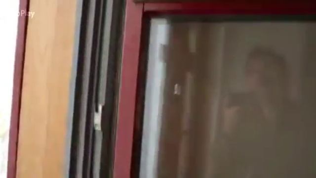 European Windows are awesome смотреть онлайн