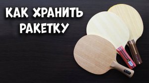 Как хранить ракетку для настольного тенниса. Настольный теннис для начинающих 2020.