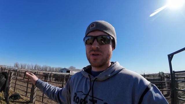 Bull Pen Makeover смотреть онлайн