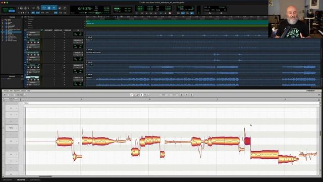 Get started with Melodyne essential and Pro Tools (ARA) смотреть онлайн