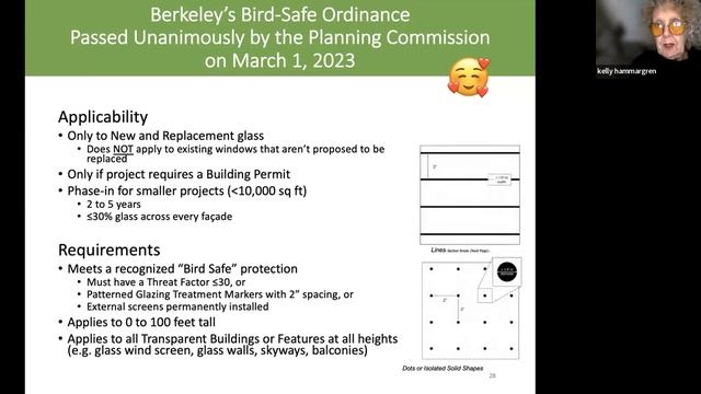 What we can do right now to prevent deadly bird-window collisions смотреть онлайн