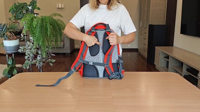 Рюкзак POLAR 220 ORANGE смотреть онлайн