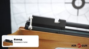 ZR Arms PCP P10 6,35 мм