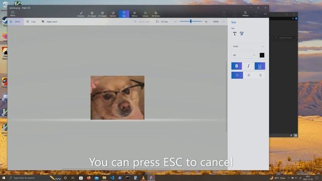 How to add text to an image on Windows 10 or 11 using Paint 3D смотреть онлайн