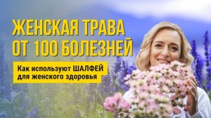 Шалфей: чем полезен и как использовать. Фитотерапия женских заболеваний.