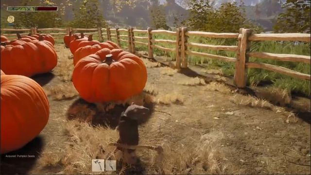 Hawthorn смотреть онлайн