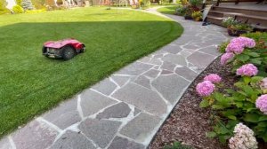 Вся правда о роботах газонокосилках CAIMAN!#садоваятехника #gardening #robotmower #газон #покостравы