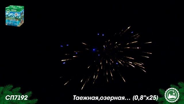 СП7192 смотреть онлайн