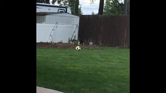 I BROKE MY NEIGHBOR’S WINDOW смотреть онлайн