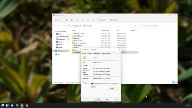 Co dělá složka WinSxS? смотреть онлайн