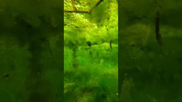 вот какое болото смотреть онлайн