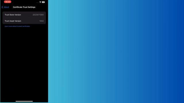 How to Check trust Store version and Trust assest version on iPhone 15/iPhone 15 Pro Max смотреть онлайн
