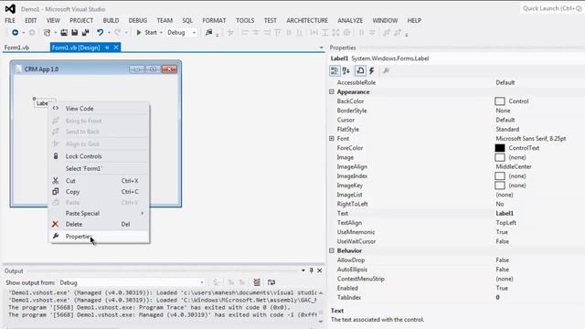 Visual Basic .Net Label Control смотреть онлайн