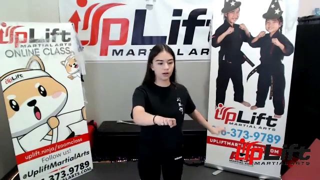 UpLift Martial Arts Oct 27 Intermediate смотреть онлайн