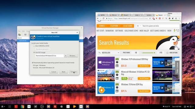 How To Use QEMU?