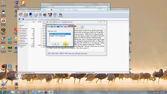 Viet Voice 6 смотреть онлайн
