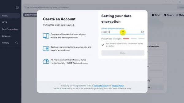 How to install and use Termius SSH Client with windows 11 on Linux