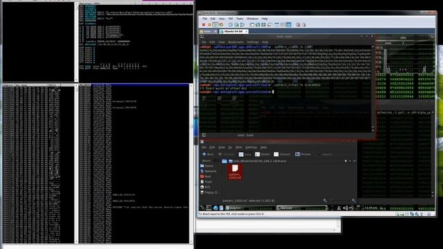 Exploiting with MetaSploit + Immunity debugger - Buffer Overflow (Mini-stream RM-MP3 Converter) смотреть онлайн