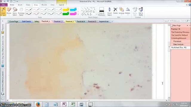 Image capture and annotation using LCmicro смотреть онлайн