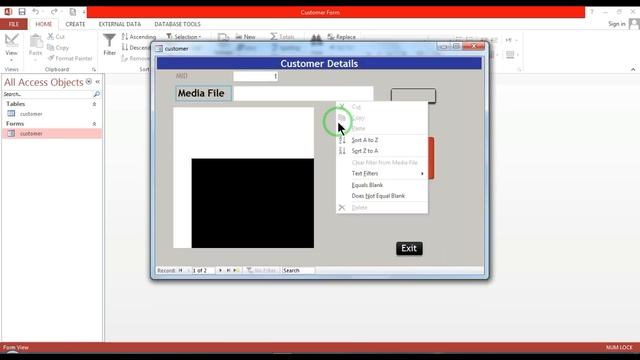 how to play audio video in ms access смотреть онлайн