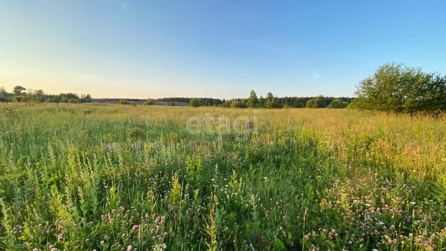 11246162 смотреть онлайн