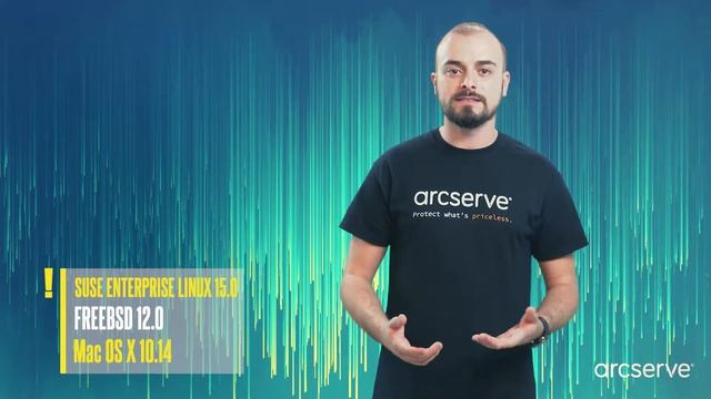 Arcserve Backup смотреть онлайн