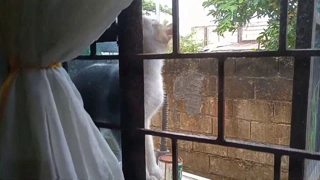knock knock! open the window please?🙄🙄🙄 смотреть онлайн