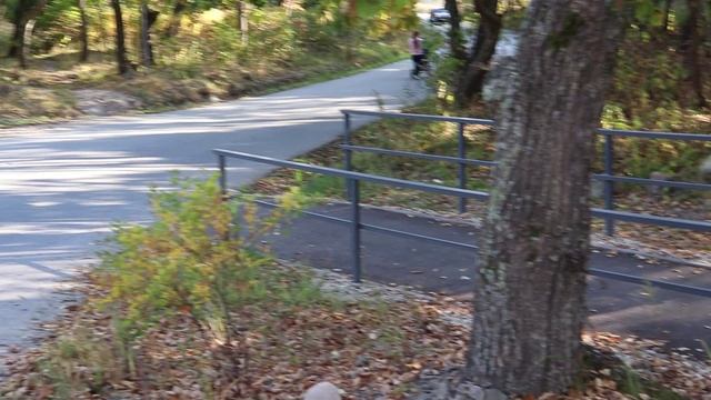 Тротуар (осень 2024 г.) смотреть онлайн