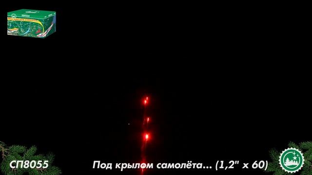 СП8055 смотреть онлайн