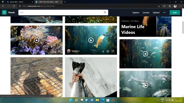 Epic live Wallpaper in windows смотреть онлайн