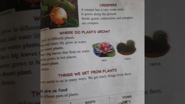Grade 2, Sub- Evs, ch 11 Plants, our friends смотреть онлайн