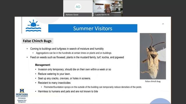 Residential Insect Pest Management Webinar смотреть онлайн