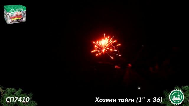 СП7410 смотреть онлайн