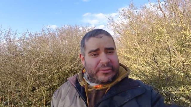 Metal Detecting with Simplex - Time for a Giveaway!! Subscribers required! смотреть онлайн