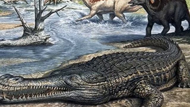 The Battle/"Save the Dinosaurs!" Theme (3D Dinosaur Adventure/Windows Version) смотреть онлайн