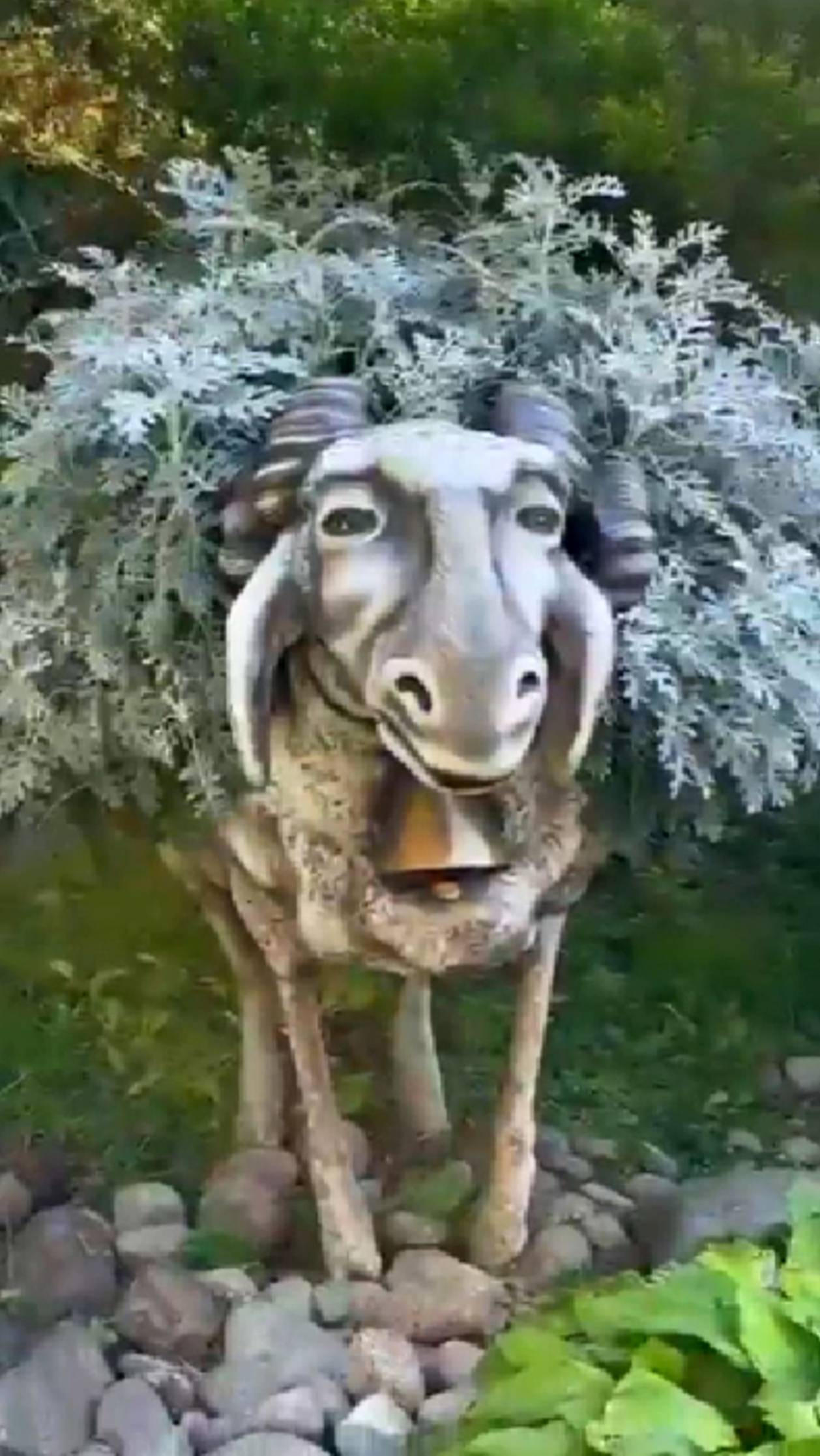 Ба-а-а, какая встреча! Сколько лет, сколько зим! #юмор смотреть онлайн