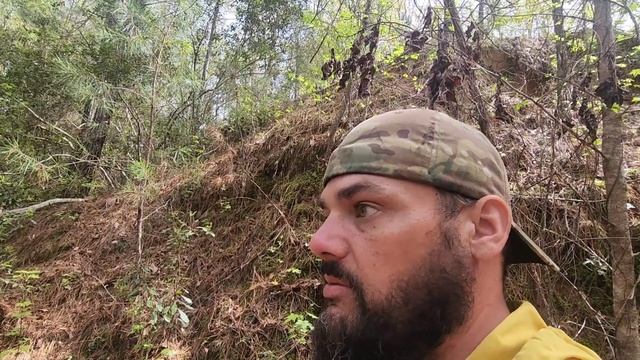 The Florida Trail #5 смотреть онлайн