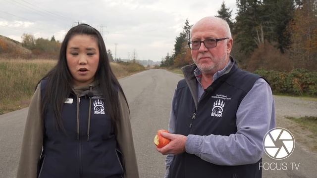 Episode 24 Don’t throw your Apple Cores out the Window смотреть онлайн